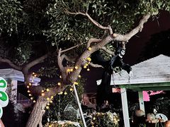 -巨鹏飞梦幻海岸