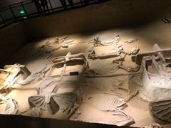 -洛阳周王城天子驾六博物馆