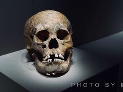 -山东博物馆