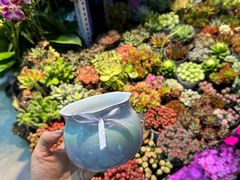 -三旗百汇商品城