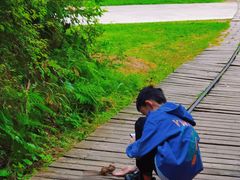 -五营红松林海景区