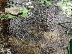-白水寺森林公园