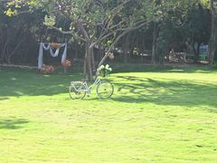 -那琴半岛地质海洋公园