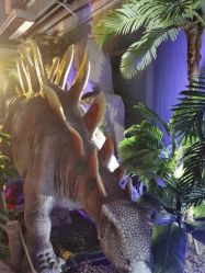 -恐龙探索乐园(磁器口店)