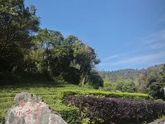 -敬亭山风景名胜区