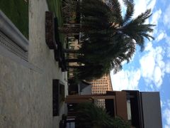 三亚湾红树林度假世界-三亚湾红树林度假世界(木棉酒店)