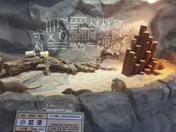 -Zoolung Zoolung动物主题公园(海信广场店)