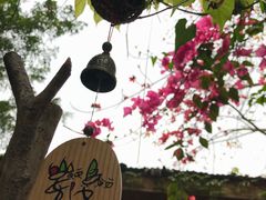 -火炉山森林公园