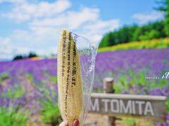 -富田农场
