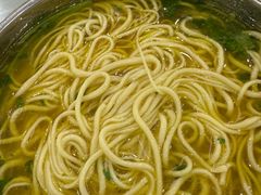 -杨记拉面总店