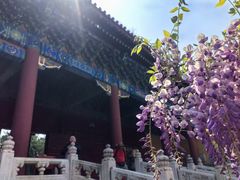 -北京国子监胡同