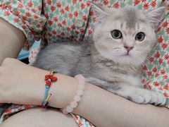 -爱诺动物医院(崂山店)