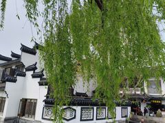-秋霞圃