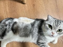 -中农大我爱我爱动物医院·核磁CT·猫病·24小时夜诊中心(石佛营店)