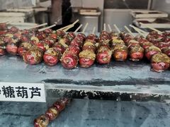 -糖葫芦王保定名吃(古莲花池店)