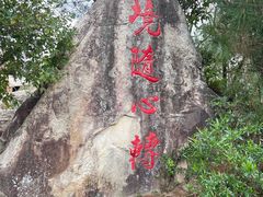 -清境桃源