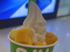 -Salud撒露欧洲冻酸奶(蓝色港湾店)