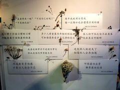 -星空失恋博物馆(双子塔旗舰店)