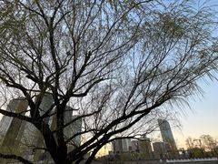 -西海子公园