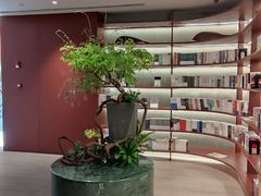 -二酉书店TOYOU BOOKS