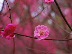 -苏州湾体育公园