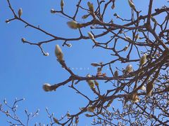 -西安市广仁寺
