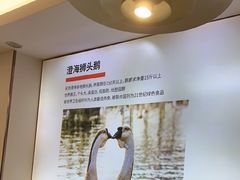 -陆记鹅庄·潮汕菜·狮头鹅(大仟里店)