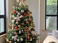 -BEAST野兽派(上海浦东嘉里城店)