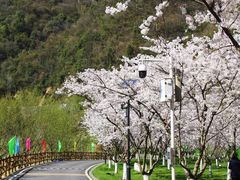 -高岚大峡谷旅游度假区