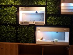 -打趸BTC·Breaktime cafe(北京路店)