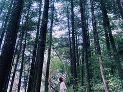 -白草畔自然风景区