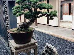 -马相伯故居