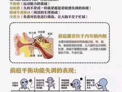 -金色雨林学习力培优(专注力提升)