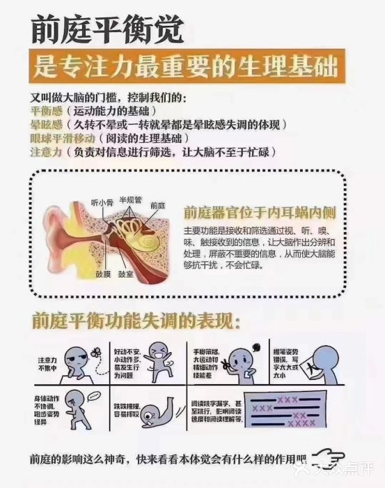 金色雨林学习力培优(专注力提升)图片