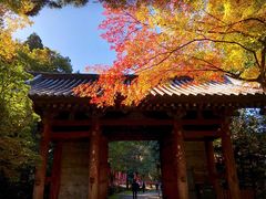 -醍醐寺