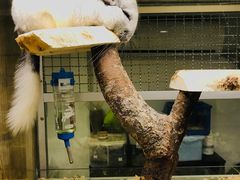 -藦茜花园宠物主题亲子互动体验馆(国顺东路店)