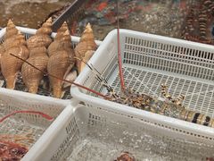 -抱德·潮汕味(琶洲店原惠城鱼仔)