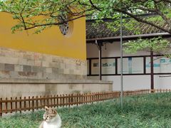 -西园戒幢律寺