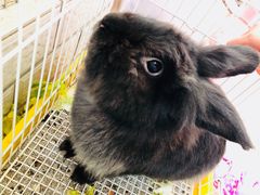 -1973继光香香鸡(合生汇购物中心店)