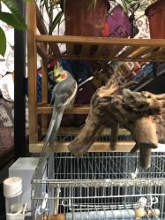店内环境-日月刺青工作室·高端纹身