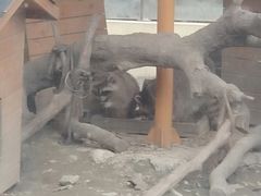 -国色天乡三期陆地乐园