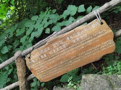 -海口火山口国家地质公园