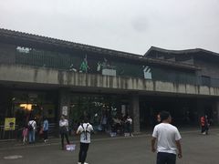 -都江堰中华大熊猫苑