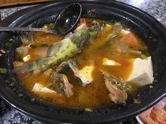 -张关合渣(航空大道店)