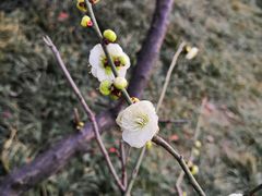 -山东大学(趵突泉校区)