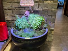-鸢飞潍坊菜馆(鸢飞大酒店)
