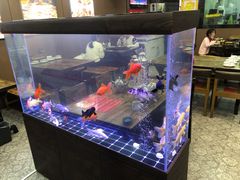 -炉内瓦·瓦片烧烤(明日星城店)