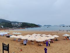 -大京沙滩