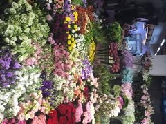-双季花艺园艺市场(浦东店)