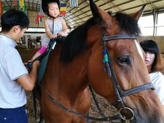 -月河湾马术俱乐部(朝阳店)